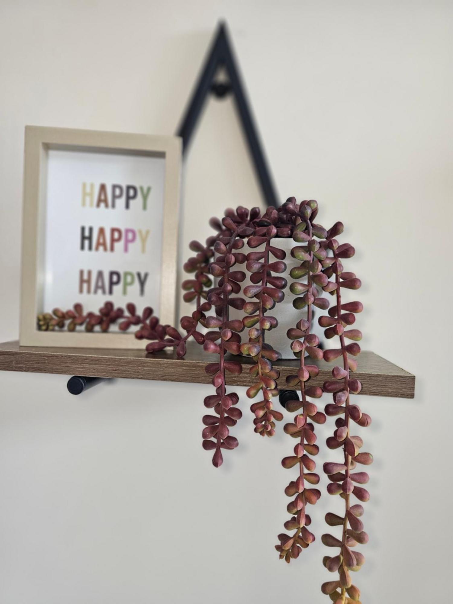 Fife House - Welcome Short Stays دربي المظهر الخارجي الصورة